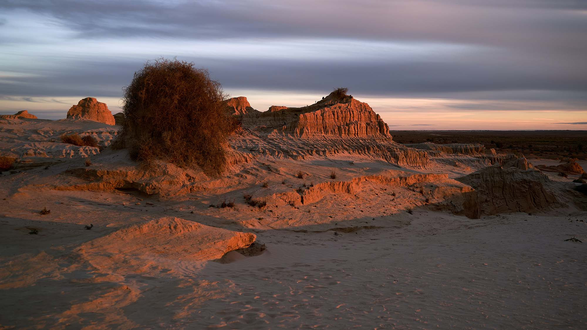 Henley, New South Wales