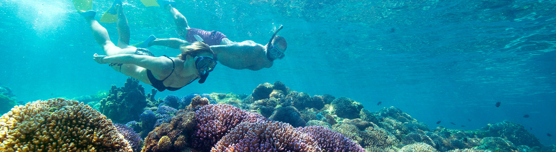 Small Group Tours - NSW