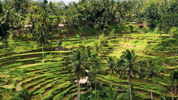 2028 Circle Pacific aboard Grand Princess