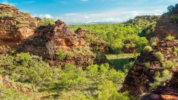 Untamed Kimberley - Guided Holiday - Darwin to Broome