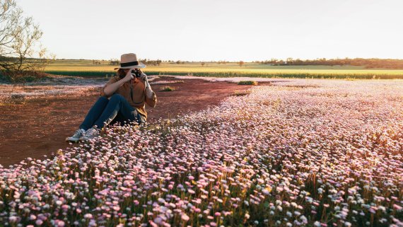 The Wildflower Wanderer