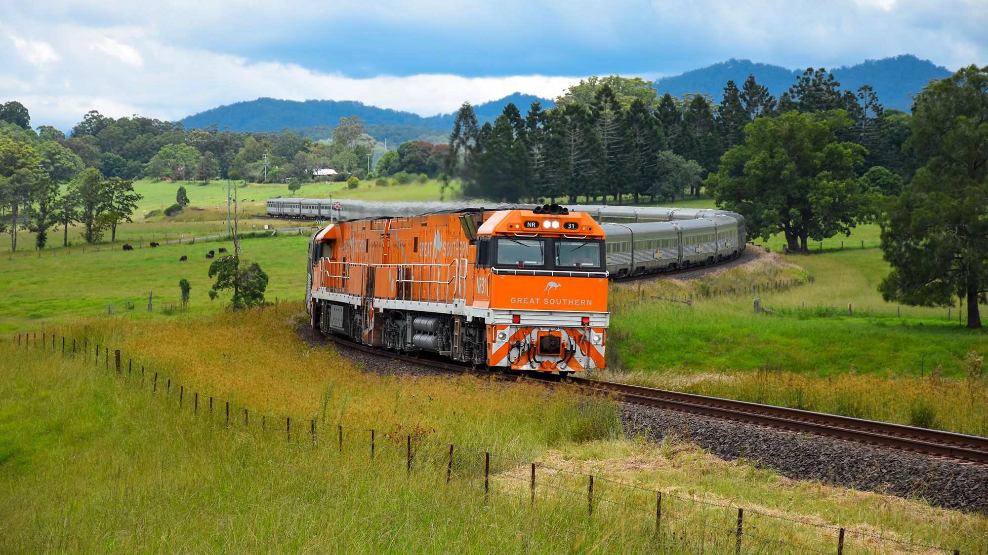 CRHOA2601-01