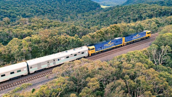 Royal Princess Tasmania and East Coast Cruise with Indian Pacific Adventure