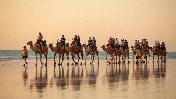 Ultimate Northern Coast to Coast Explorer with Indian Pacific & Coral Princess from Perth