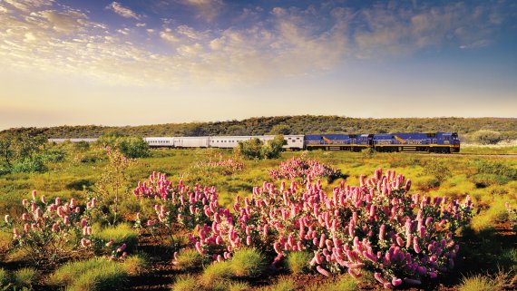 Ultimate Northern Coast to Coast Explorer with Crown Princess and Indian Pacific from Sydney