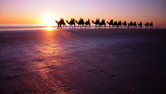 Ultimate Northern Coast to Coast Explorer with Crown Princess and Indian Pacific with Perth Highlights