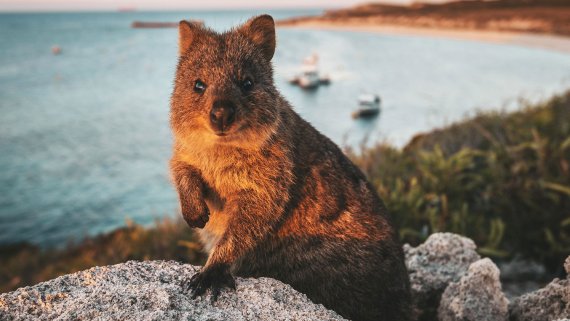 Ultimate Northern Coast to Coast Explorer with Crown Princess and Perth Highlights