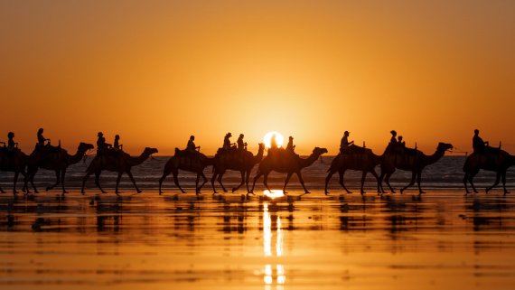 Ultimate Northern Coast to Coast on Grand Princess and Perth Highlights
