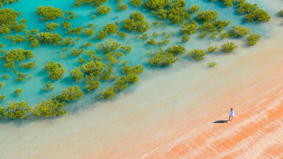 Ultimate Northern Coast to Coast on Grand Princess with Perth Highlights