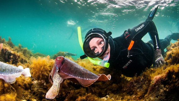 Cuttlefish & SA’s Natural Wonders Adventure - 12 July 2024
