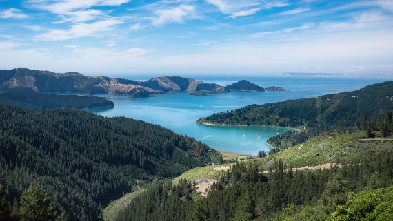 Fly, Stay, Cruise Australia and New Zealand Escape aboard MS Noordam
