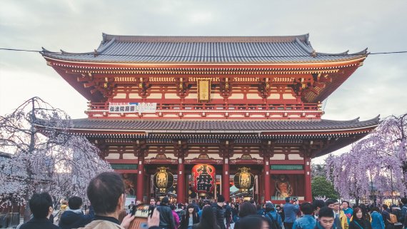 Fly, Stay, Cruise Japan's Blossoms in Bloom with Azamara Pursuit