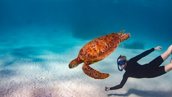 The Magic of Ningaloo