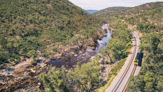 Fly Free with The Indian Pacific: Margaret River and Rottnest Discovery from Adelaide to Perth