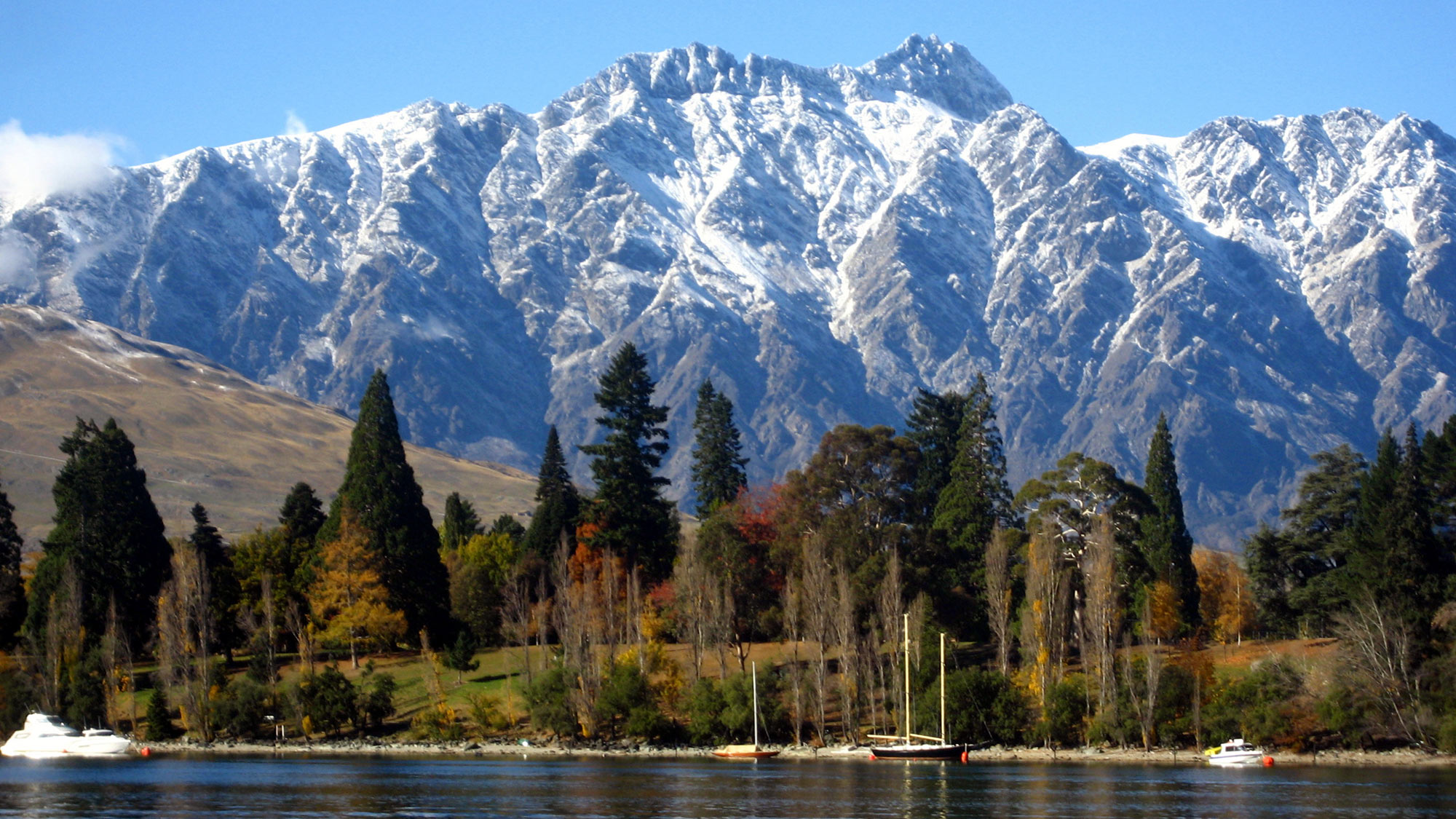 auckland to queenstown tour