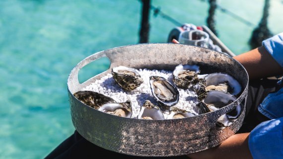 Eyre Peninsula Gourmet & Coastal Escape