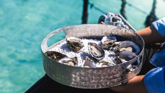 Best of Eyre Peninsula: Seafood & Wildlife Immersion
