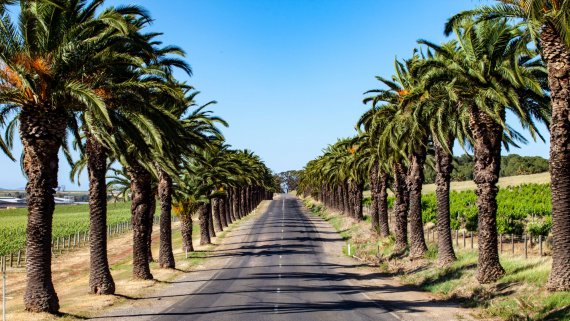 Barossa Valley Self-Drive