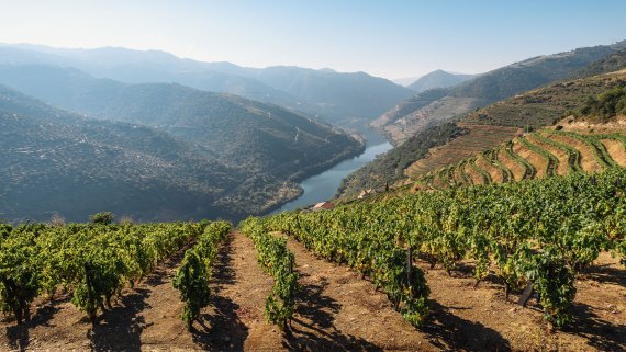 Lisbon with Douro Discovery Cruise & Tour