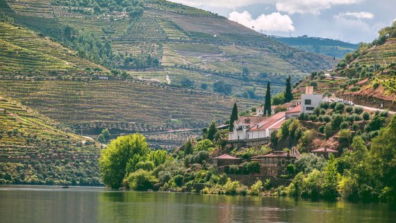 Portugal to Spain - Douro Valley River Cruise