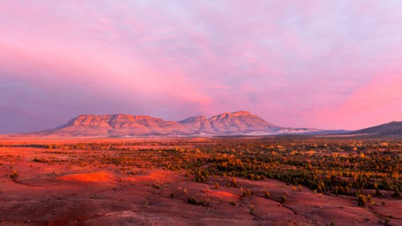 Majestic Northern Flinders Ranges Hosted Small Group Tour