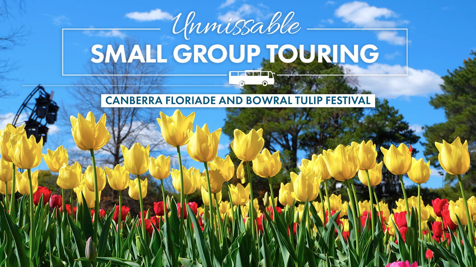 Canberra Floriade and Bowral Tulip Festival Hosted Small Group