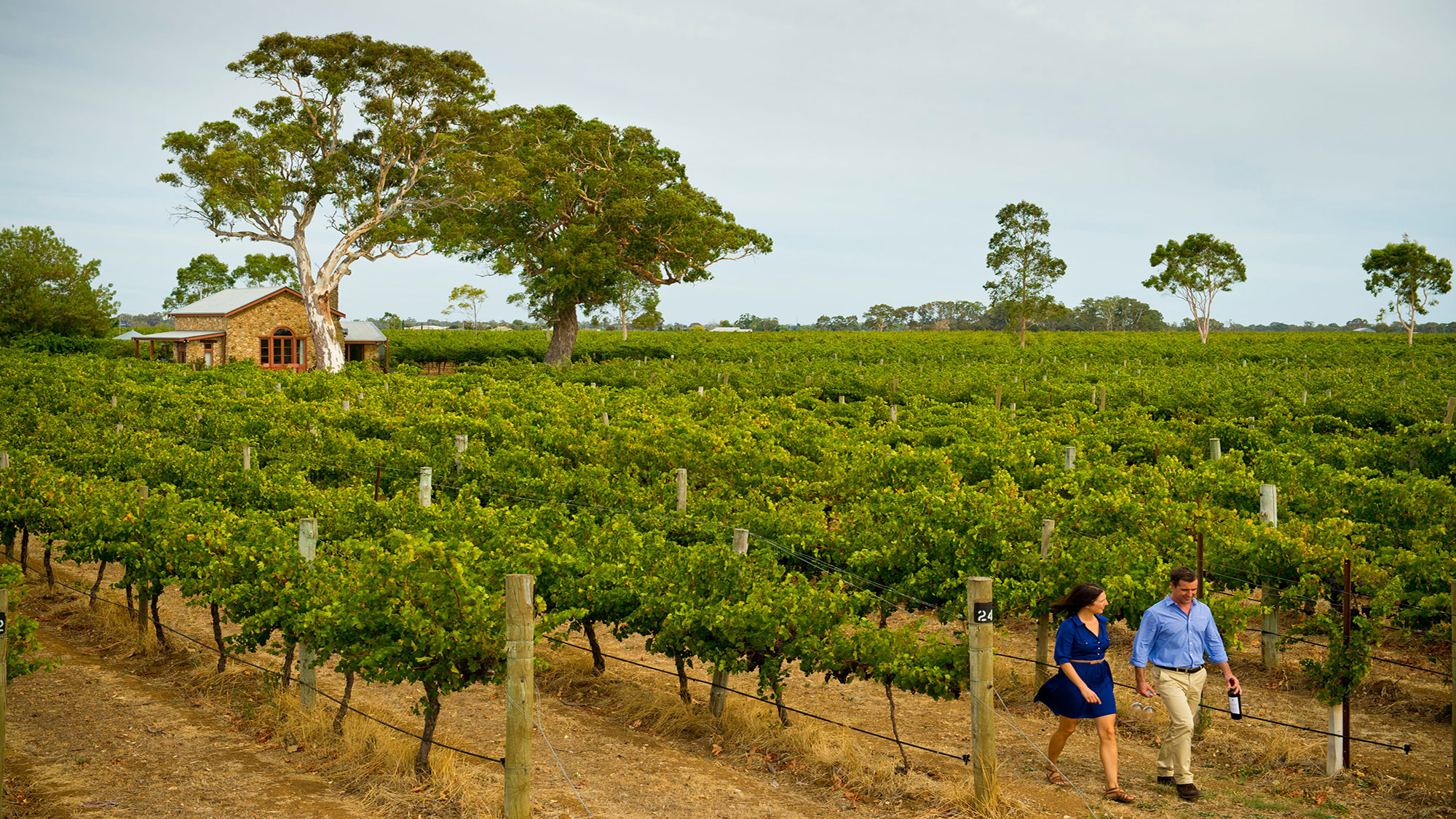 The Great Ocean Road Small Group Escape Holidays Of Australia And The World Great Rail Cruise