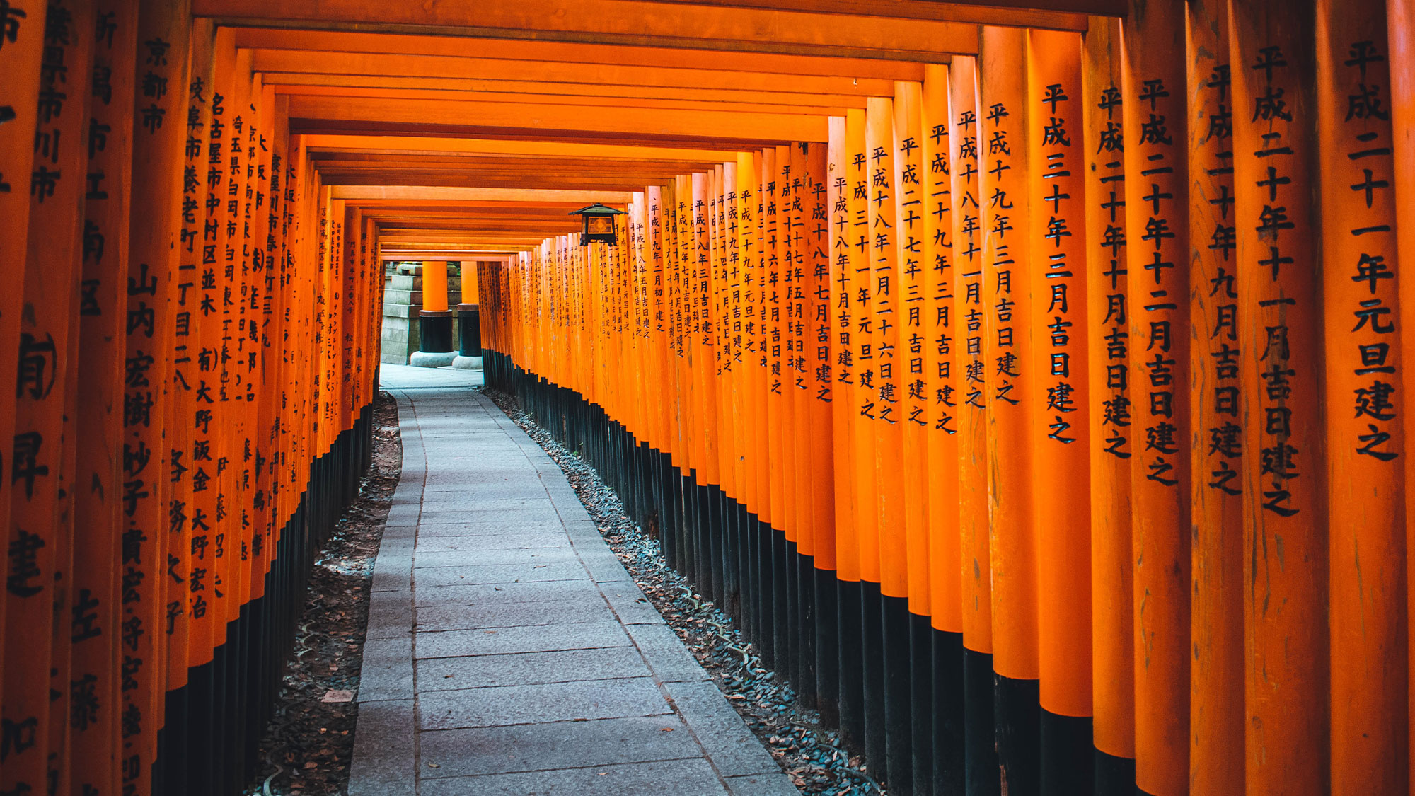 SGJAPAN01