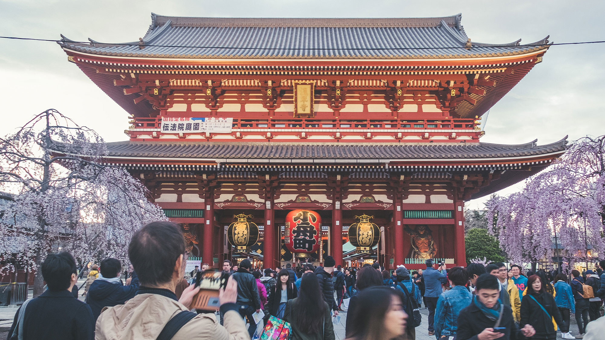 SGJAPAN01