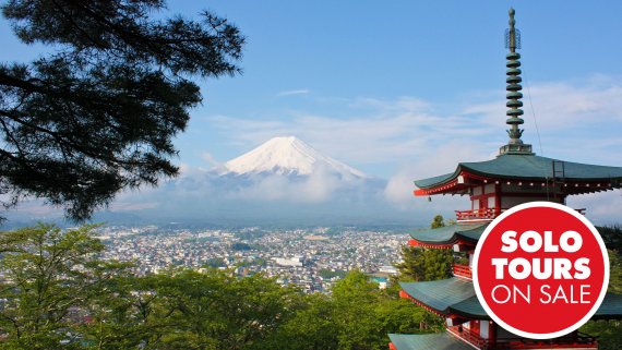 Japan Express Solo Small Group Tour