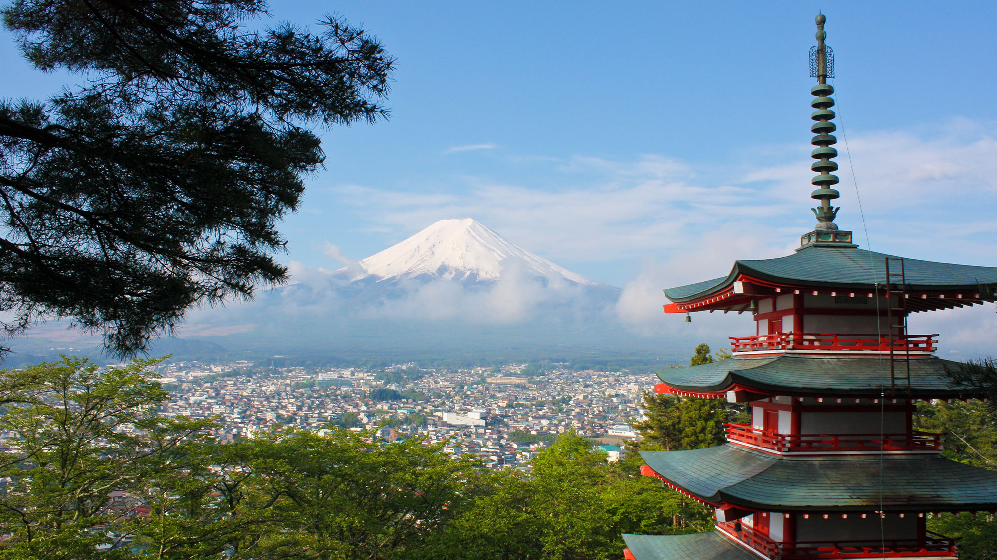 SGJAPAN01