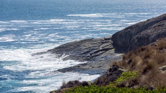 Kangaroo Island Discovery Hosted Small Group Tour