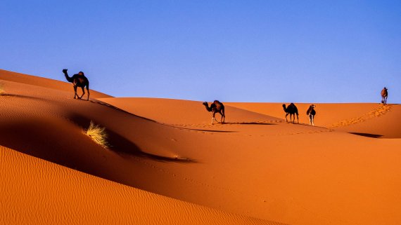 Morocco - Ladies Only Small Group Tour