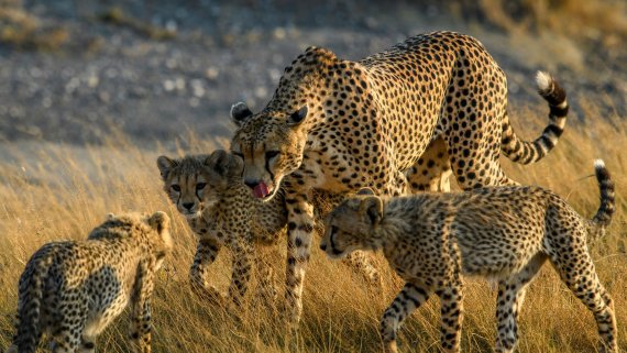 Tanzania & Zanzibar - Ladies Only Small Group Tour