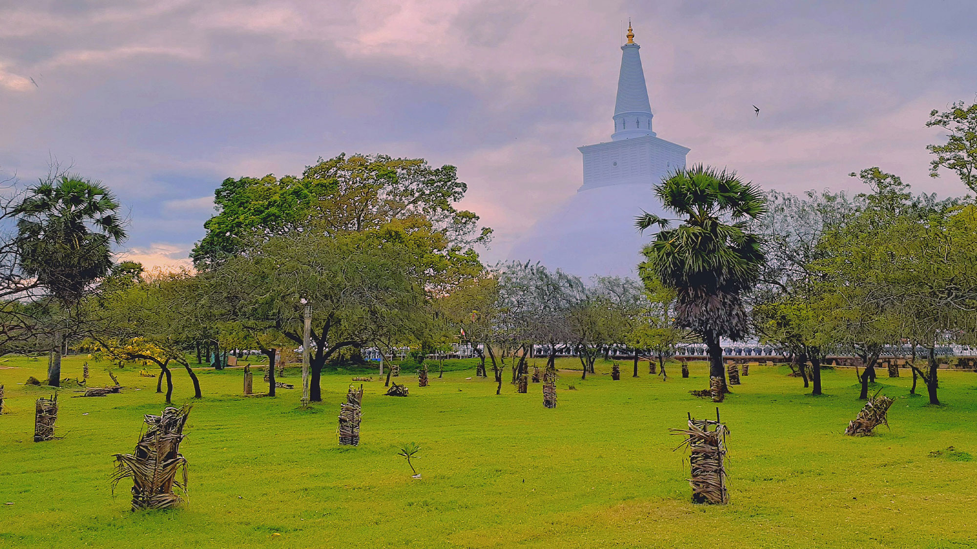SGLANKA27B