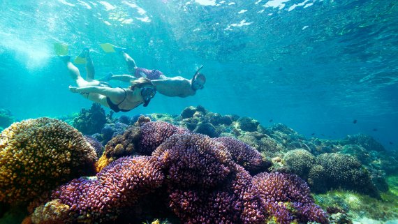 Lord Howe Island Escape Hosted Small Group Tour