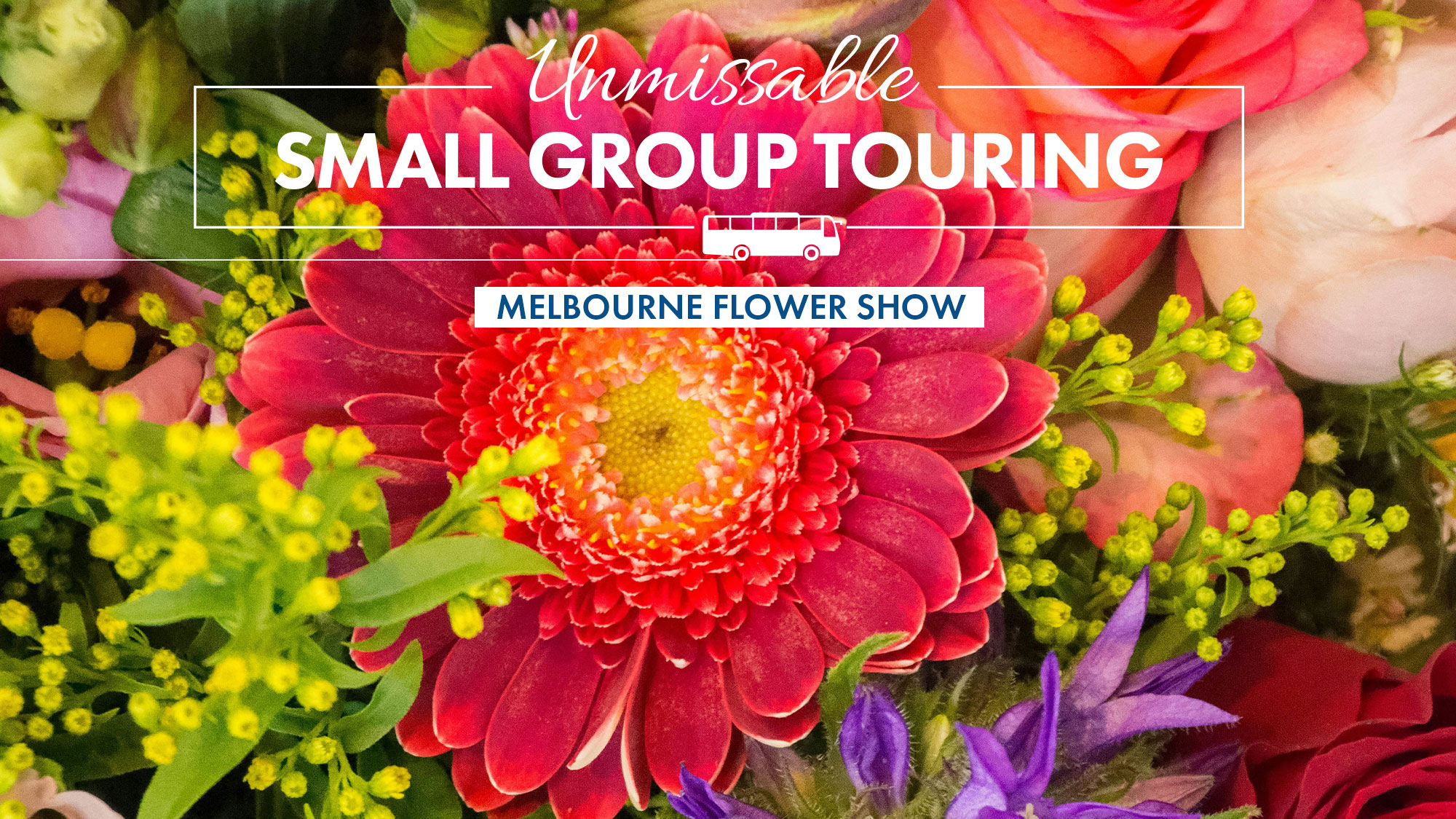 SGMELBFLOWER26
