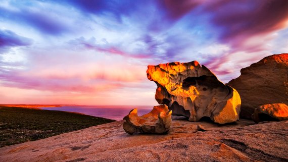 Murray Princess Cruise with Kangaroo Island Hosted Small Group Tour