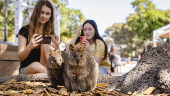 Taste of Western Australia Hosted Small Group Tour