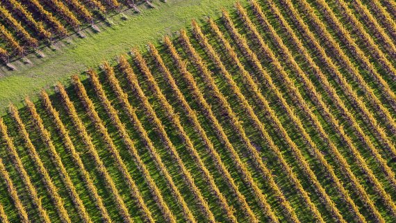Margaret River Short Stay