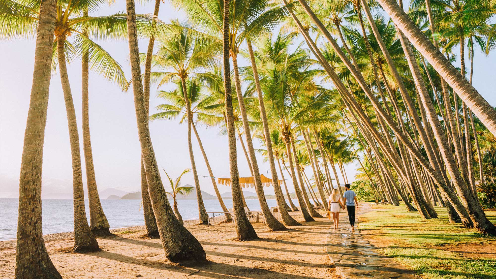 Tropical Rainforest and Cairns with Spirit of Queensland 29 June 2023