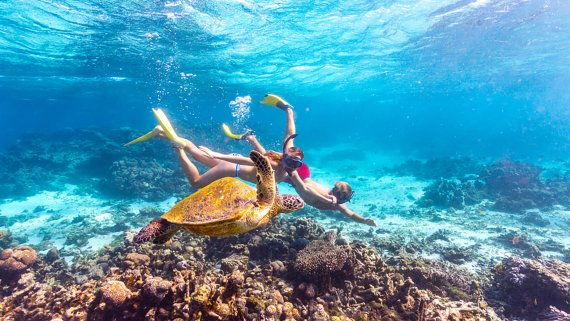 The Kimberley, Whale Sharks & the Karrajini Self-Drive