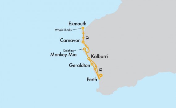 Whale Shark Explorer Self Drive from Perth